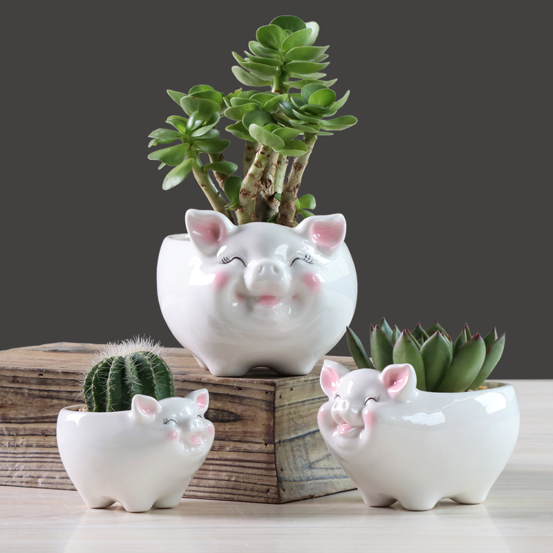 Simple Nordic Cartoon Animal Succulent Flower Pot Ceramic Decorative Ornaments - Image 4